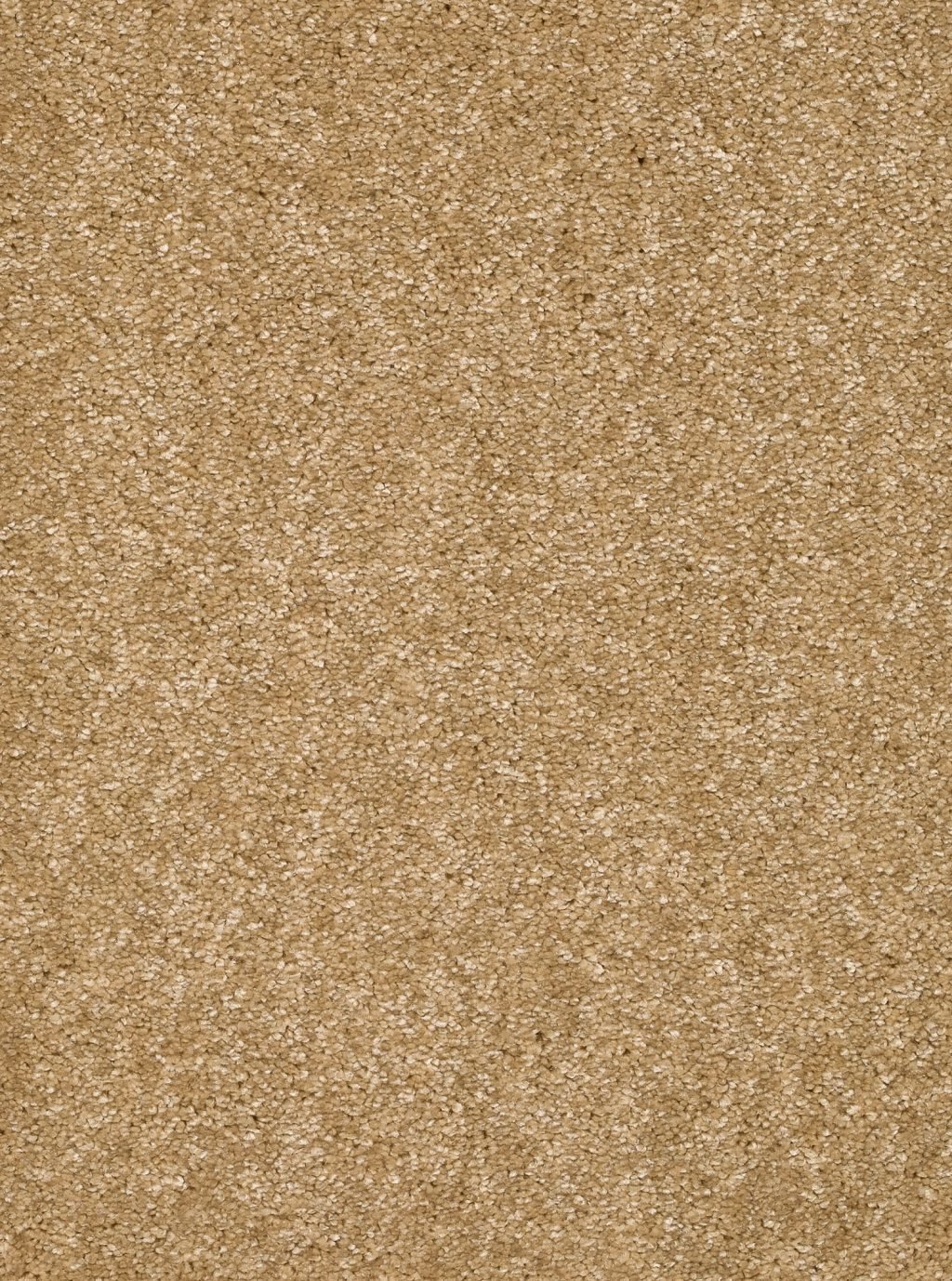 Trend 026 Tapijt LUNA 400cm kleur 51 x 400,0