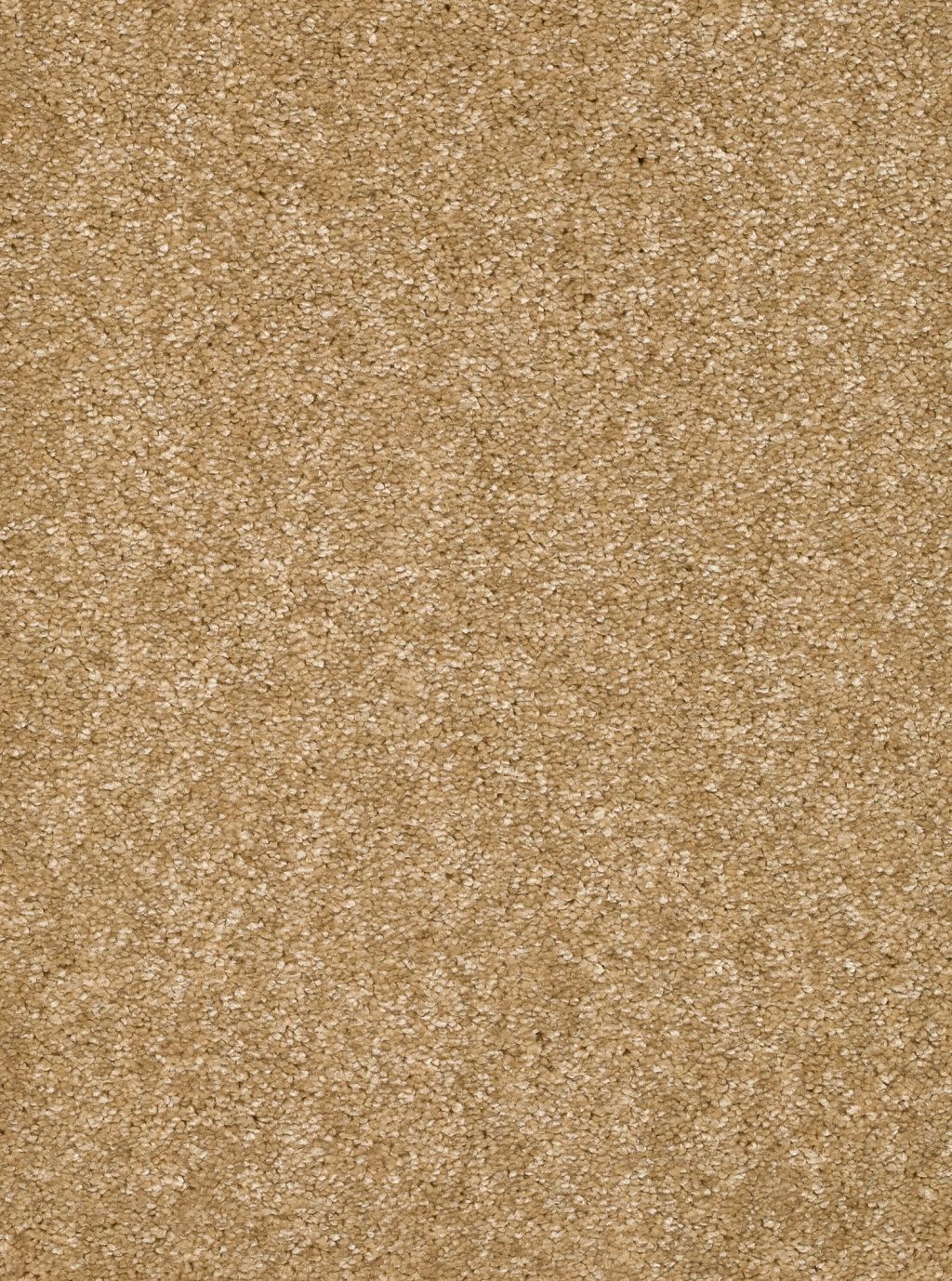 Trend 026 Tapijt LUNA 500cm kleur 51 x 500,0