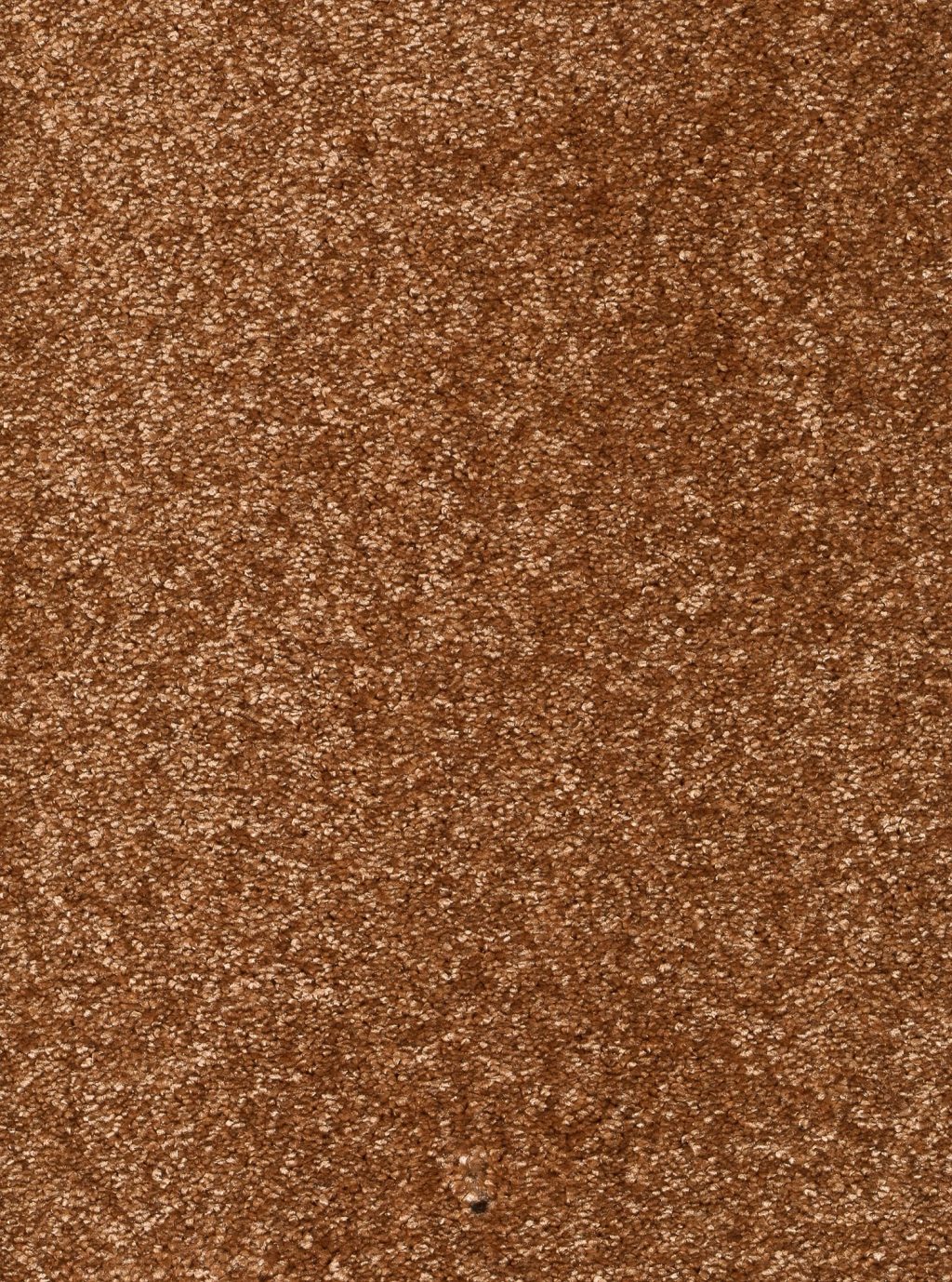 Trend 026 Tapijt LUNA 500cm kleur 56 x 500,0