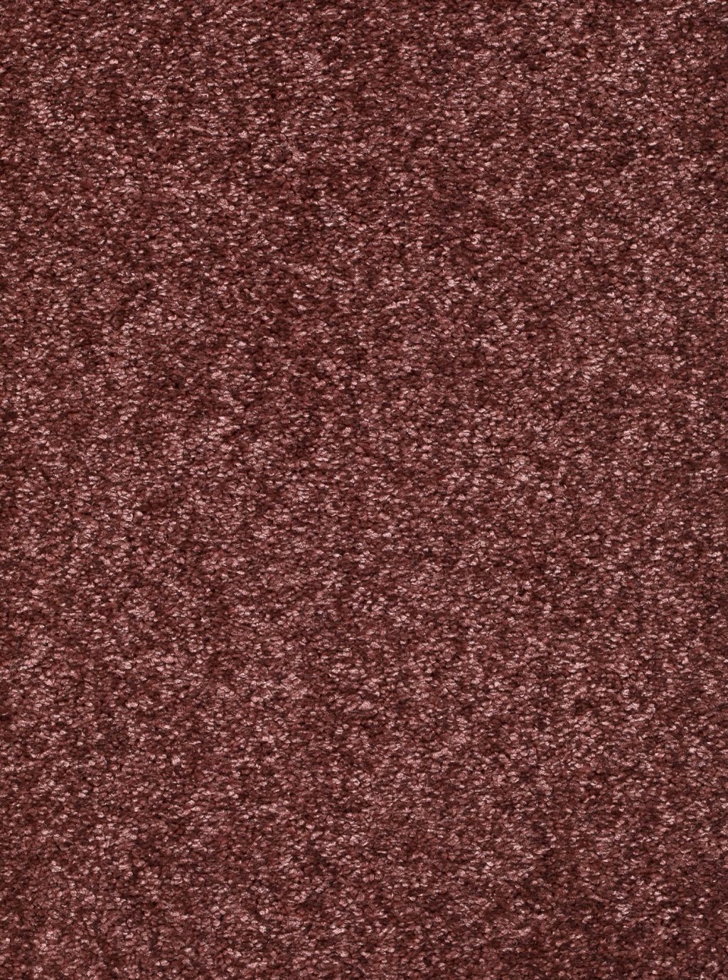 Trend 026 Tapijt LUNA 500cm kleur 65 x 500,0