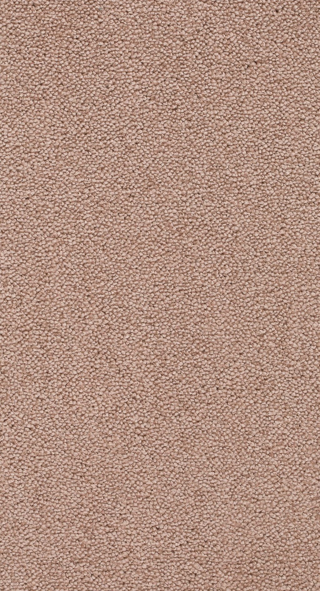 Trend 026 Tapijt NOBEL 400 cm kleur 12 x 400,0