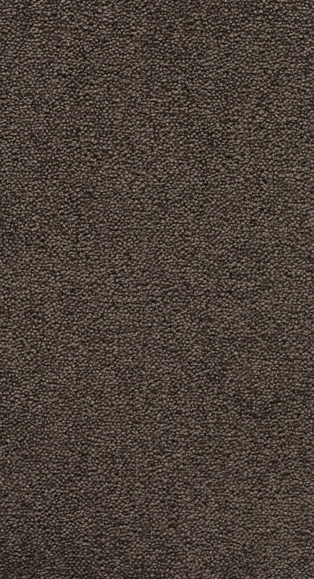 Trend 026 Tapijt NOBEL 500 cm kleur 97 x 500,0