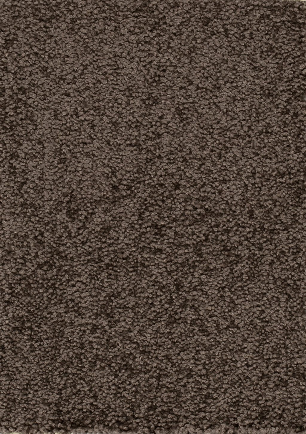 Trend 026 Tapijt PLAZA 400cm kleur 94 x 400,0