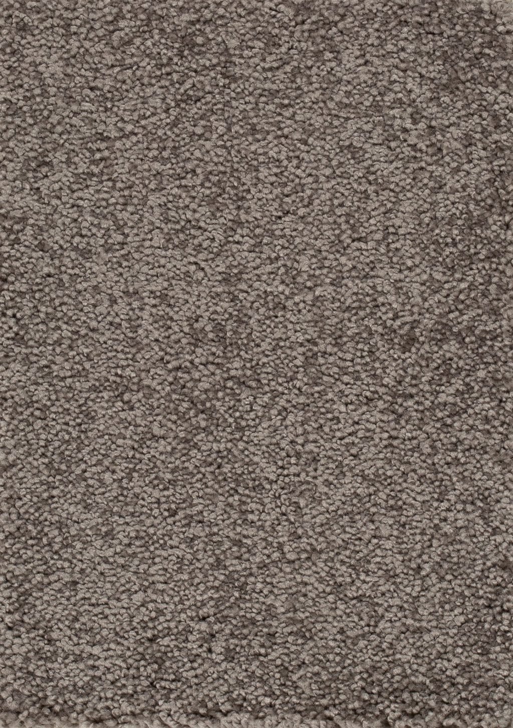 Trend 026 Tapijt PLAZA 500cm kleur 76 x 500,0