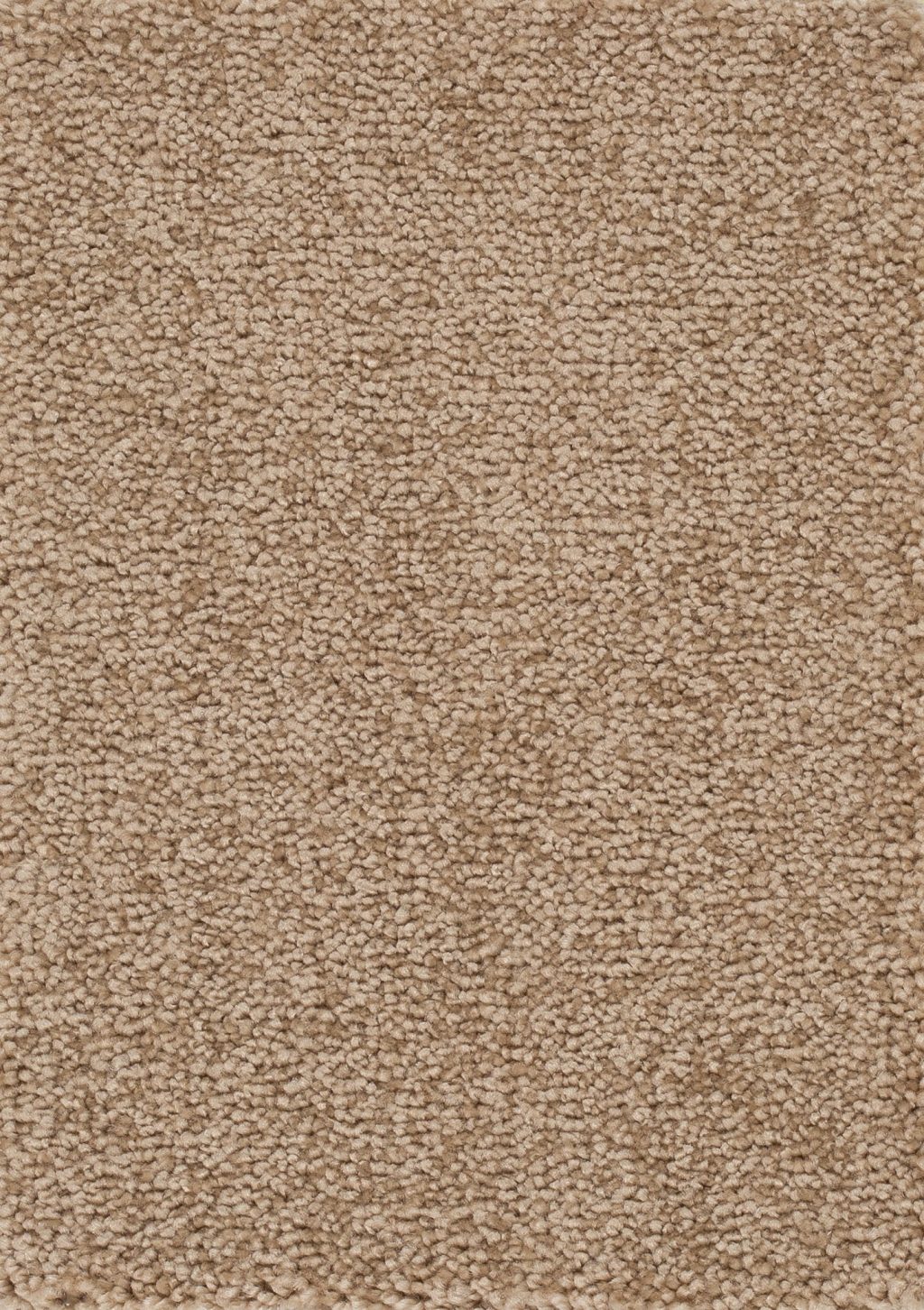 Trend 026 Tapijt PLAZA 500cm kleur 92 x 500,0