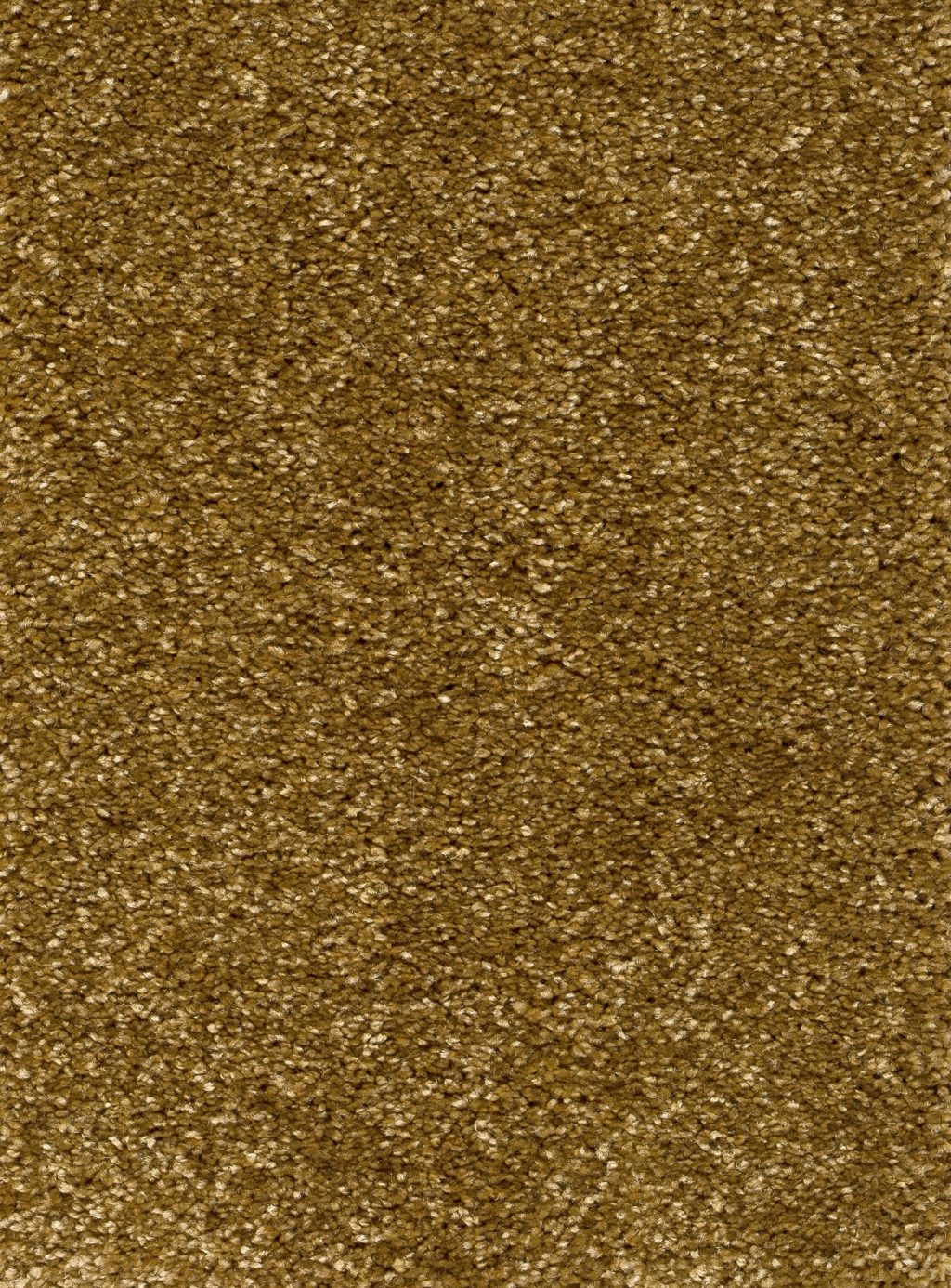 Trend 026 Tapijt RIGOLETTO 400cm kleur 55 x 400,0