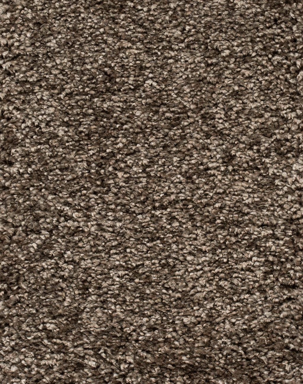 Trend 026 Tapijt RIGOLETTO 500cm kleur 141 x 500,0