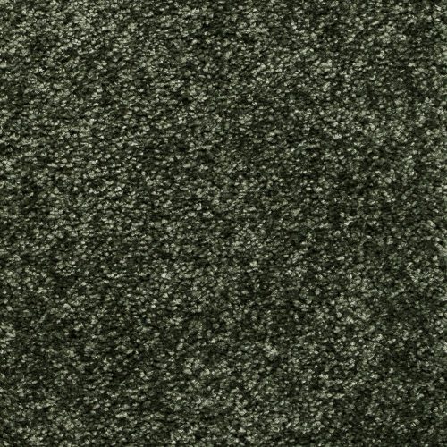 Trend 026 Tapijt RIGOLETTO 500cm kleur 28 x 500,0