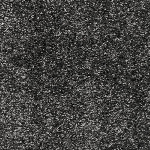 Trend 026 Tapijt RIGOLETTO 500cm kleur 298 x 500,0