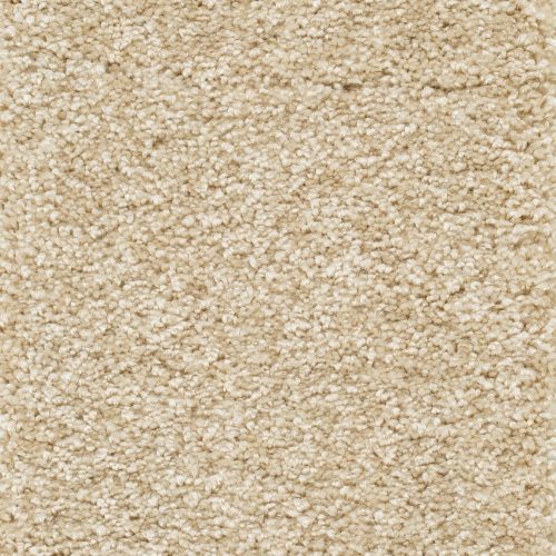 Trend 026 Tapijt RIGOLETTO 500cm kleur 33 x 500,0