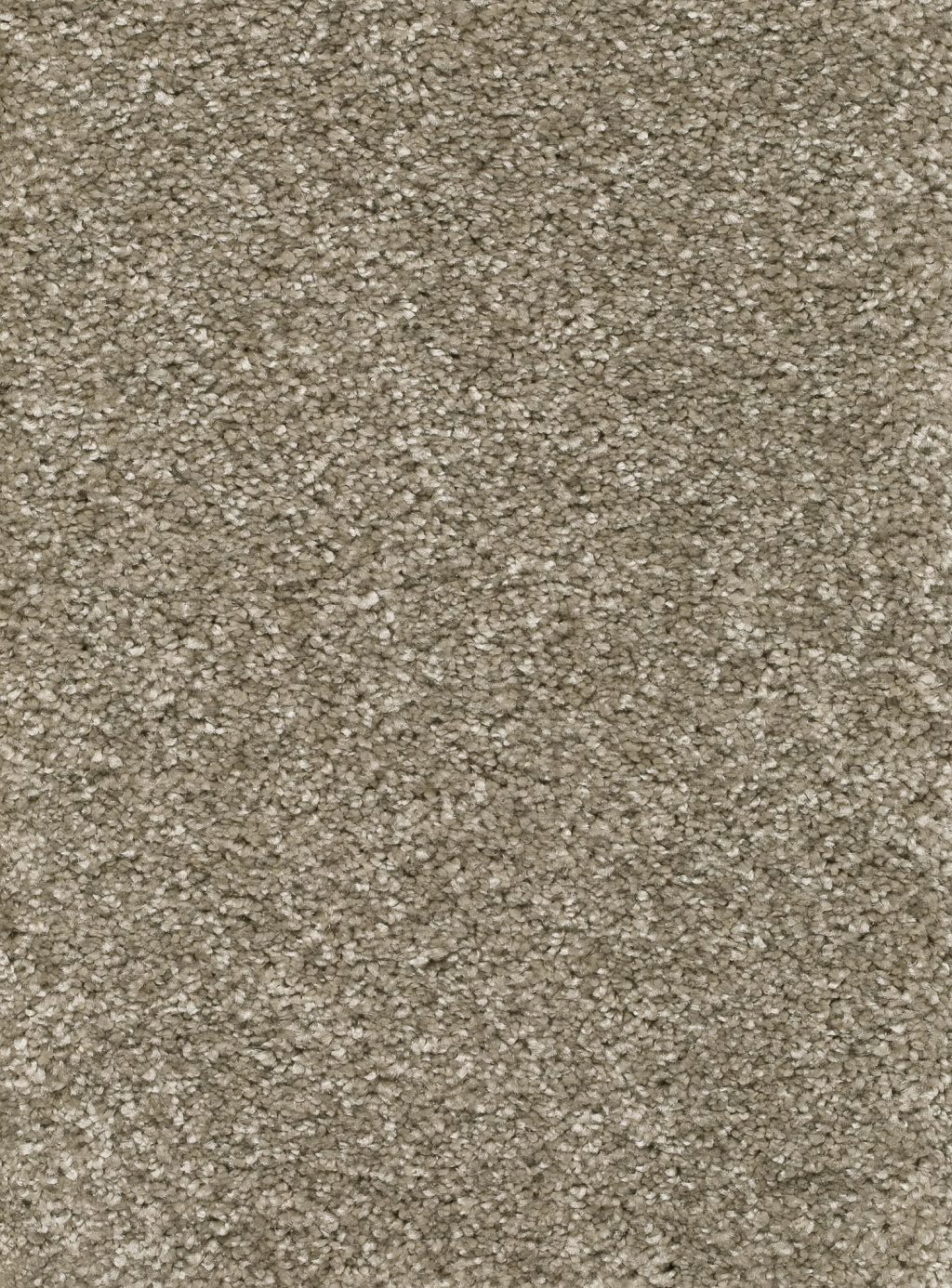 Trend 026 Tapijt RIGOLETTO 500cm kleur 48 x 500,0