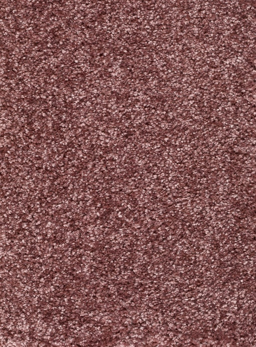 Trend 026 Tapijt RIGOLETTO 500cm kleur 62 x 500,0