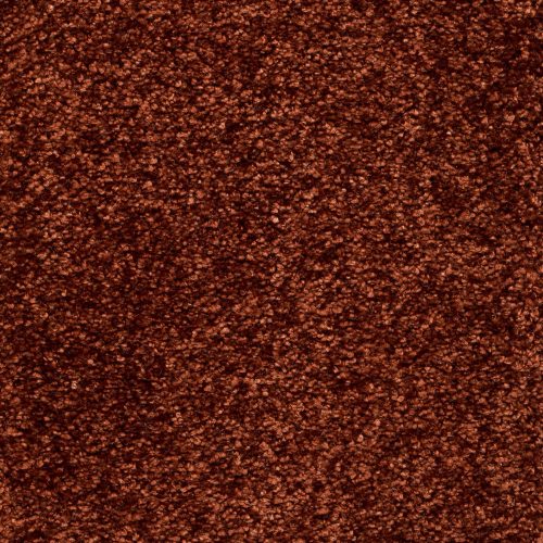 Trend 026 Tapijt RIGOLETTO 500cm kleur 68 x 500,0