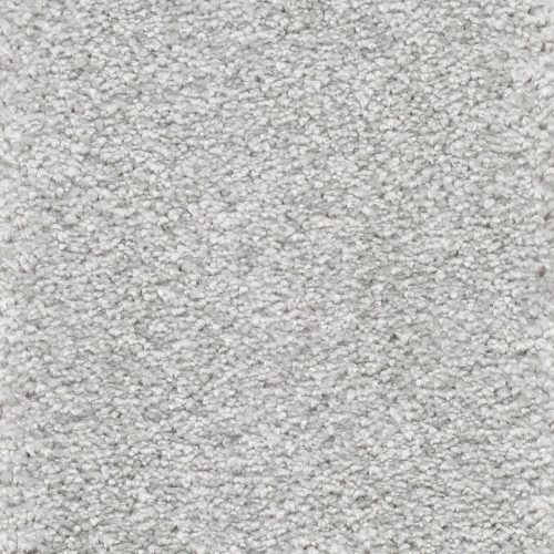 Trend 026 Tapijt RIGOLETTO 500cm kleur 95 x 500,0