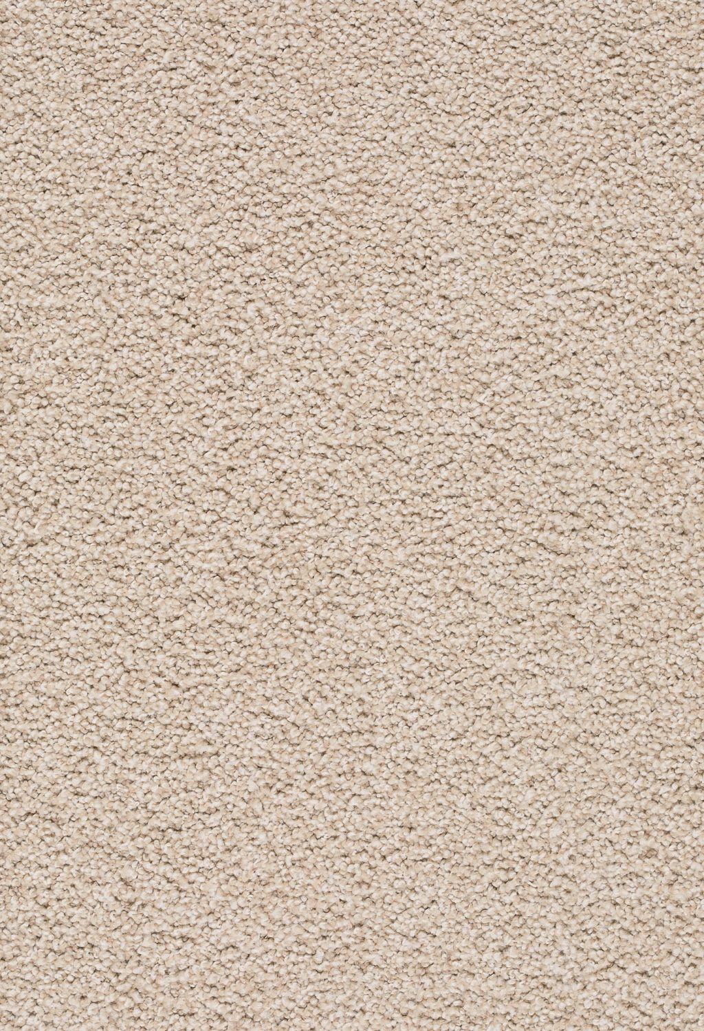 Trend 026 Tapijt ZIRKONIA 400 cm kleur 250 x 400,0 Trend 026 Tapijt ZIRKONIA 400 cm kleur 250 x 400,0