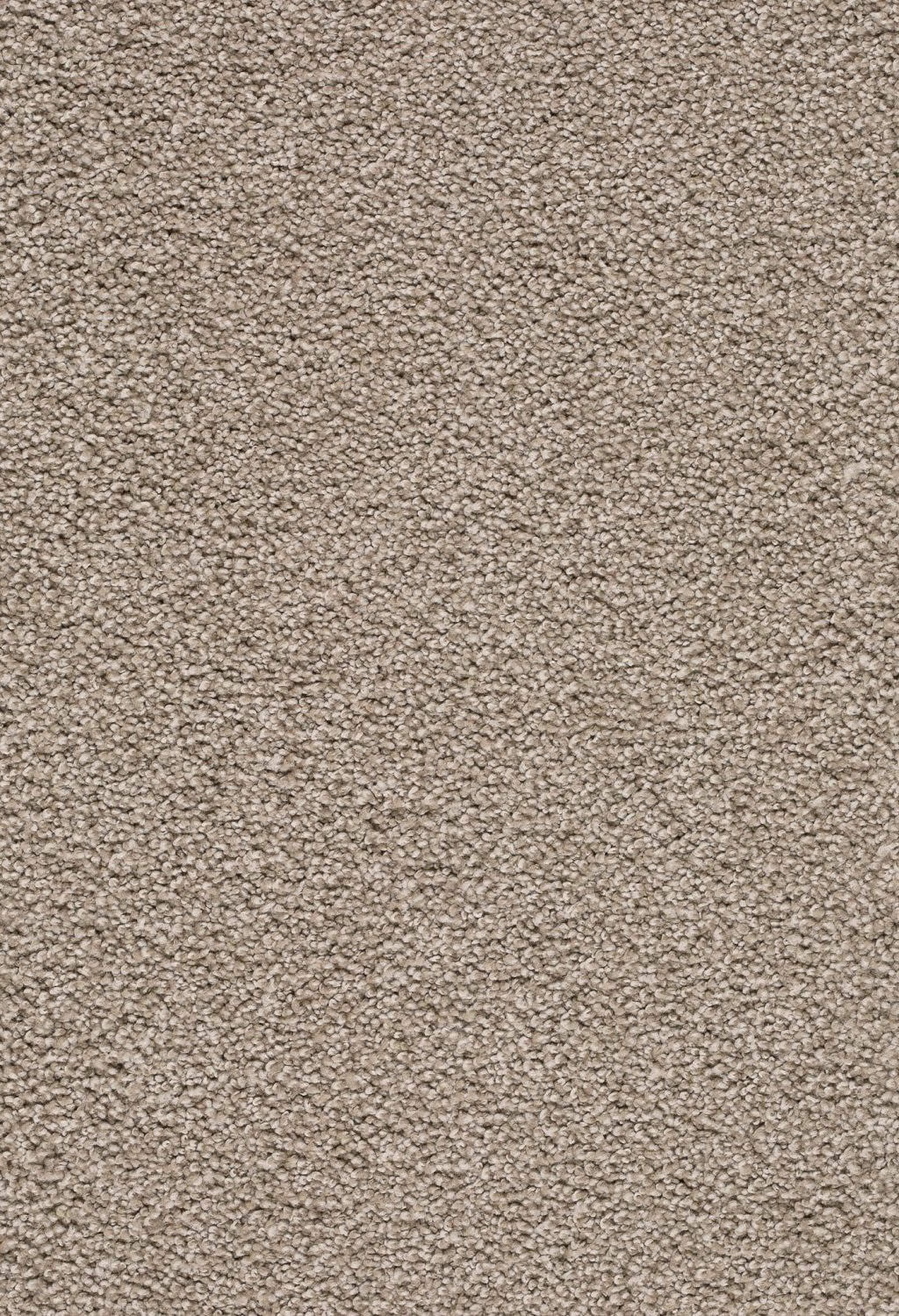 Trend 026 Tapijt ZIRKONIA 400 cm kleur 260 x 400,0 Trend 026 Tapijt ZIRKONIA 400 cm kleur 260 x 400,0