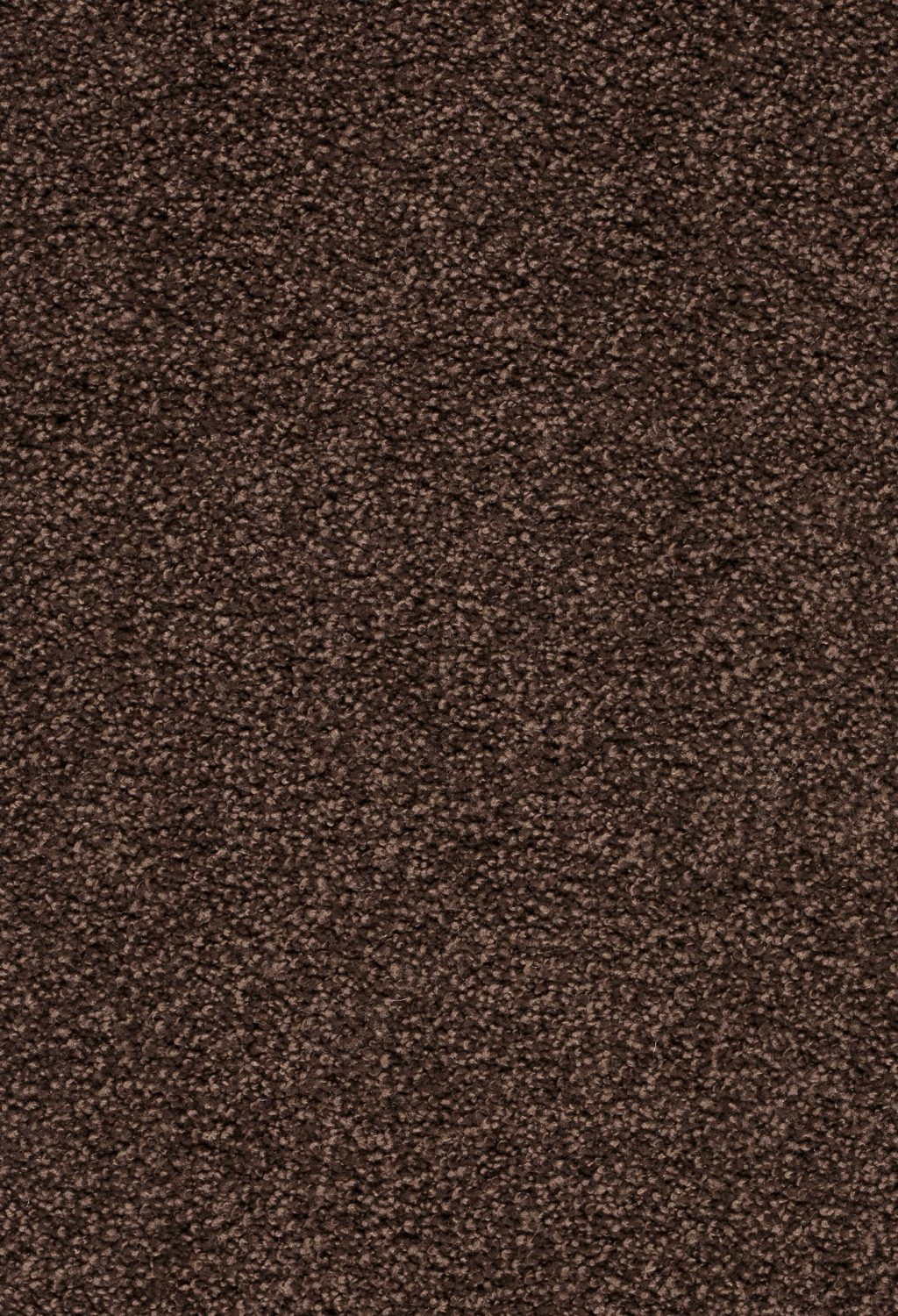 Trend 026 Tapijt ZIRKONIA 500 cm kleur 400 x 500,0 Trend 026 Tapijt ZIRKONIA 500 cm kleur 400 x 500,0