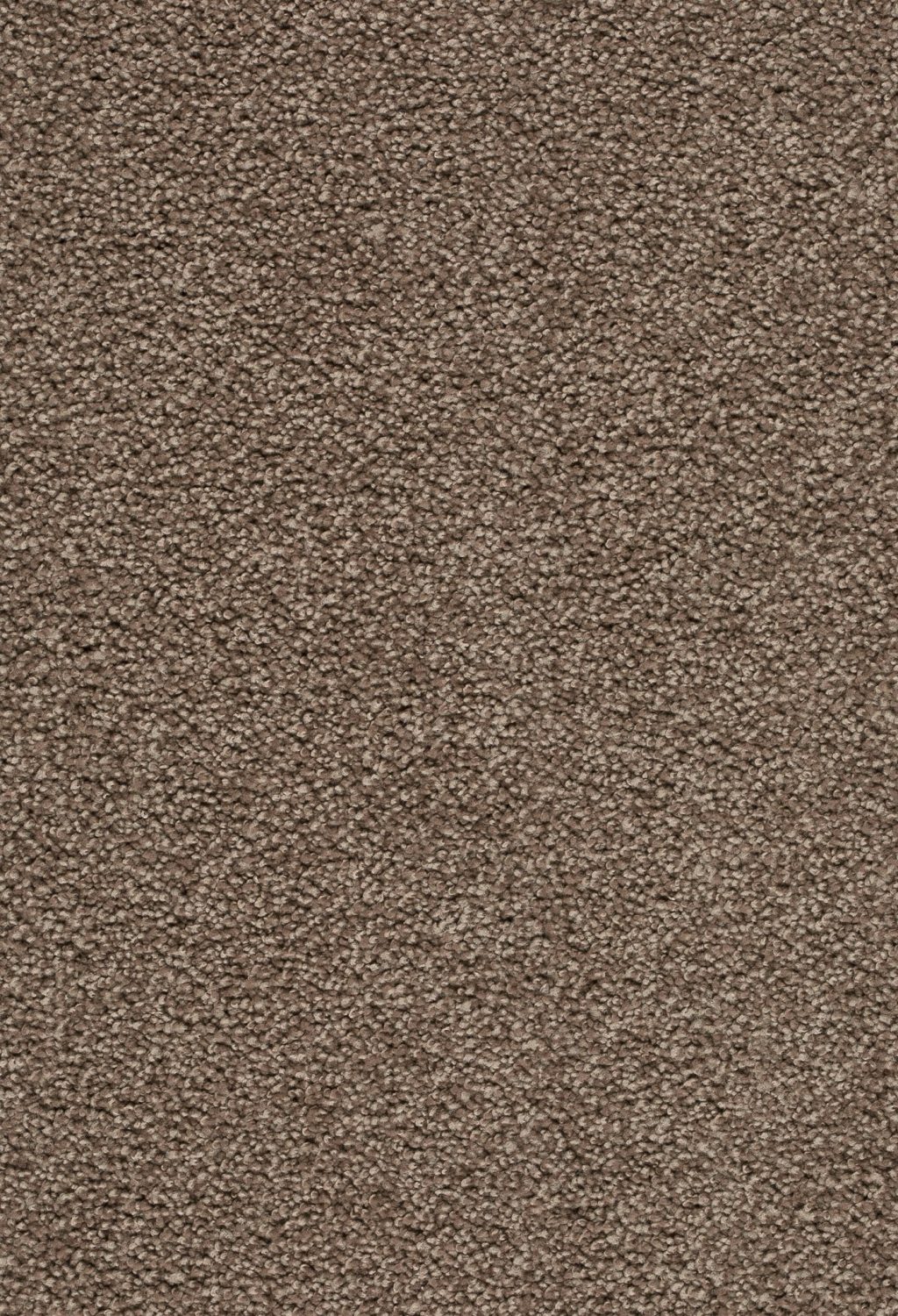 Trend 026 Tapijt ZIRKONIA 500 cm kleur 420 x 500,0 Trend 026 Tapijt ZIRKONIA 500 cm kleur 420 x 500,0