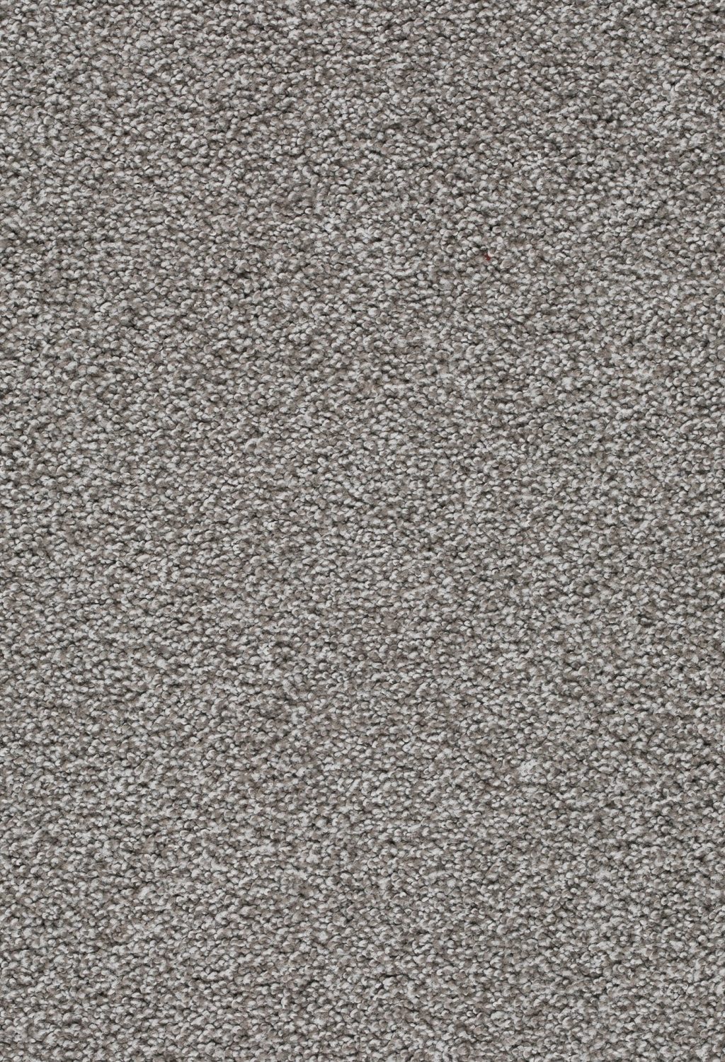 Trend 026 Tapijt ZIRKONIA 500 cm kleur 840 x 500,0 Trend 026 Tapijt ZIRKONIA 500 cm kleur 840 x 500,0