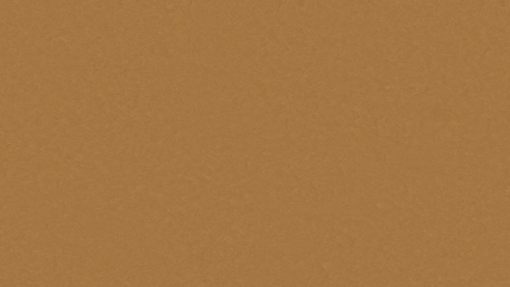 Vinyl vloer LINOSOM 2,5mm 3101 200cm