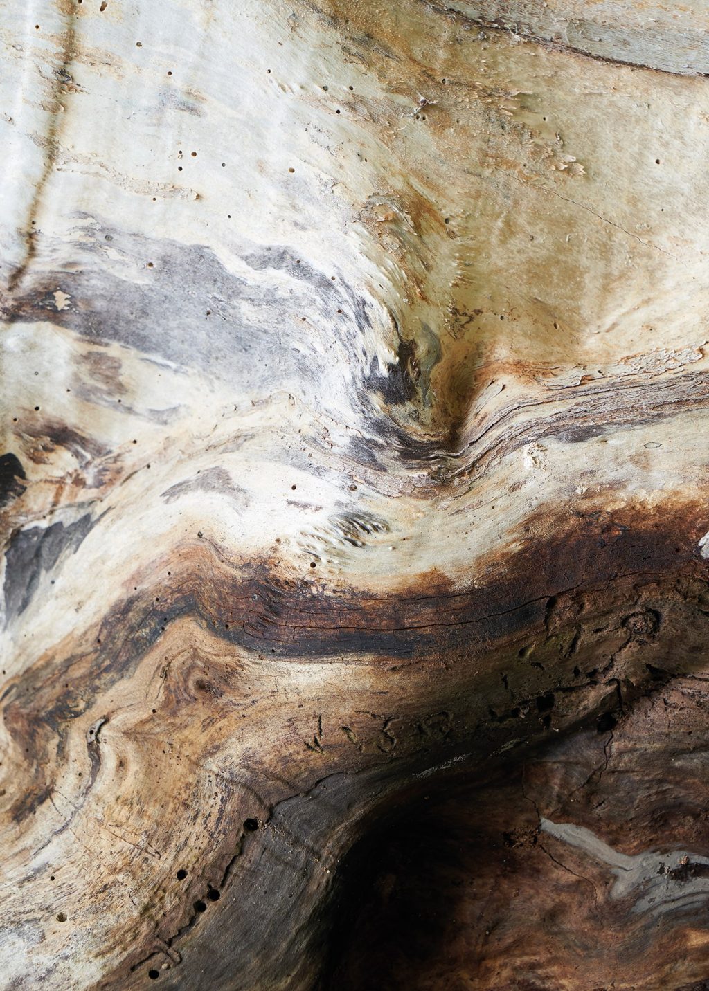 Wandbild 20728 Color III 2025 Kunst / Wall Art 2,00 mtr br x 2,80 mtr hg Wandbild 20728 Color III 2025 Kunst / Wall Art 2,00 mtr br x 2,80 mtr hg