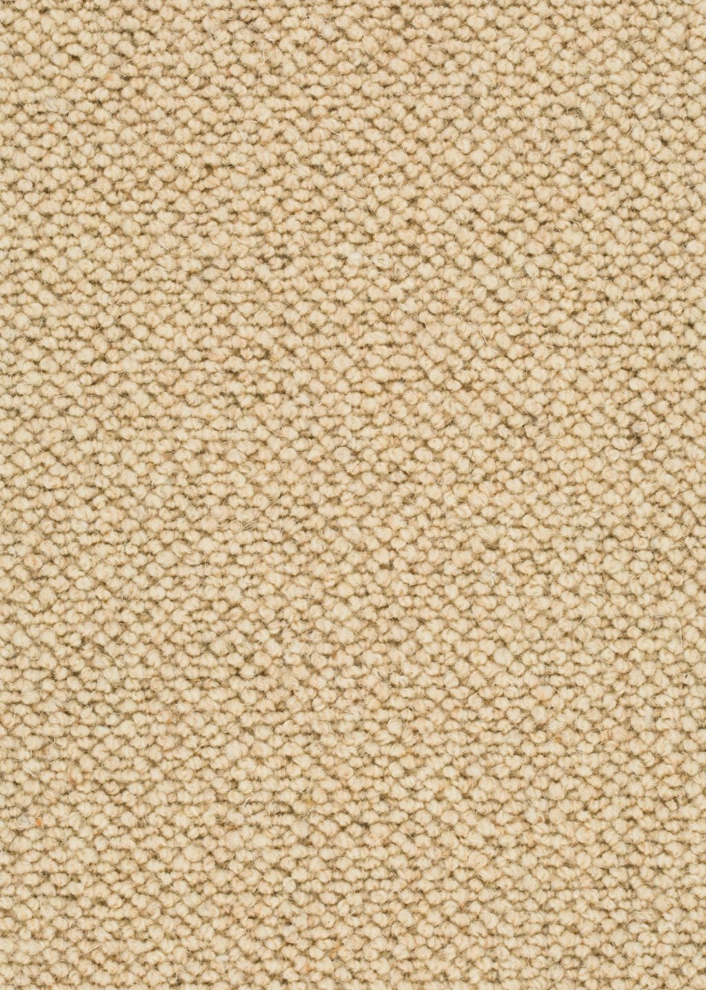 Wool 24 Tapijt AMIRA 400cm kleur 821 x 400,0