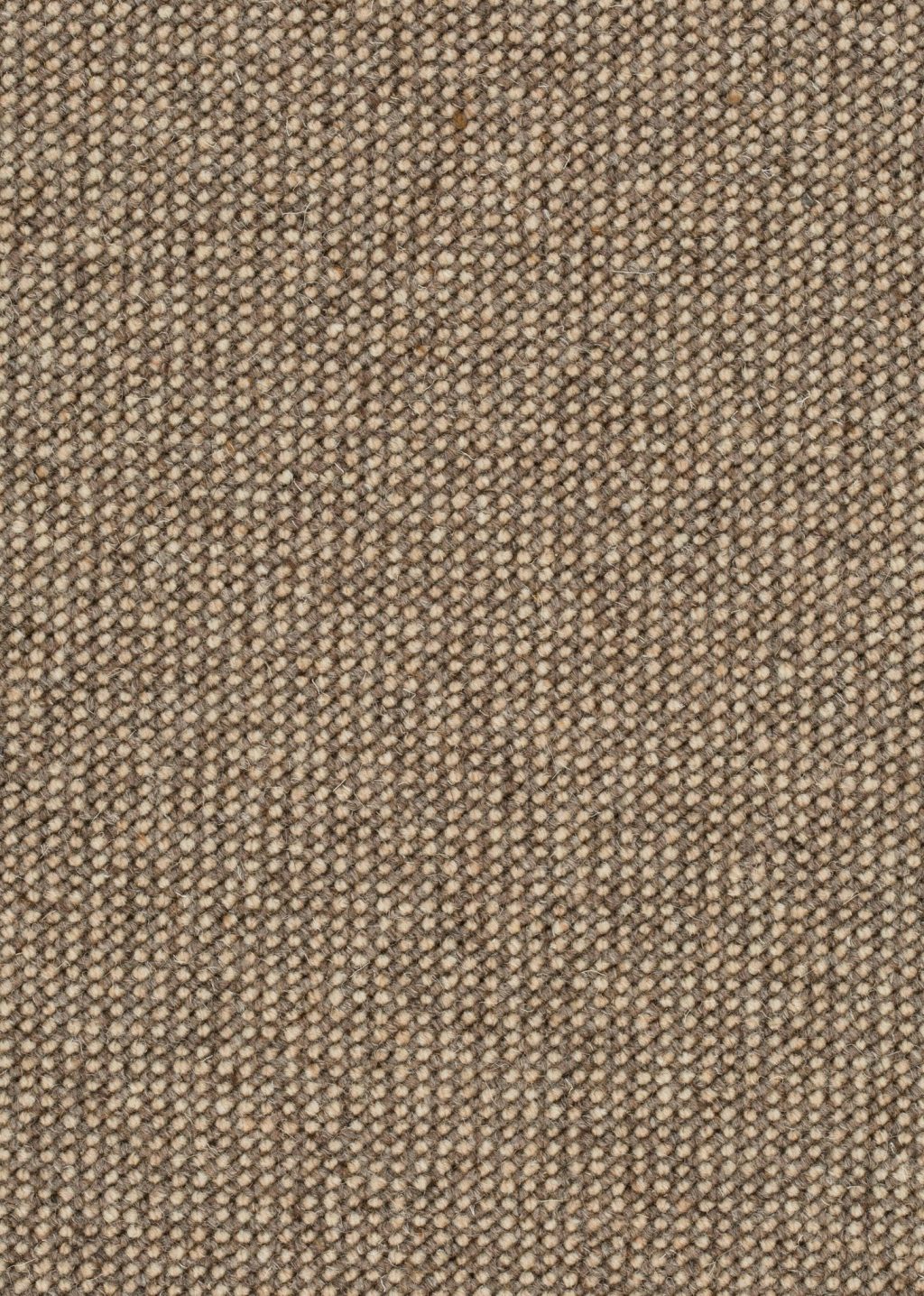 Wool 24 Tapijt CALAIS 400cm kleur 143 x 400,0