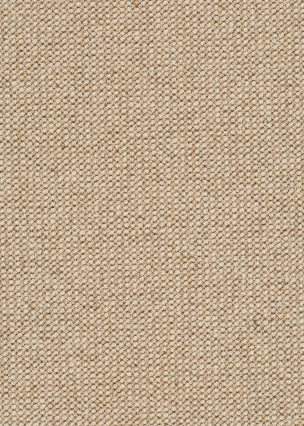 Wool 24 Tapijt CALAIS 500cm kleur 212 x 500,0