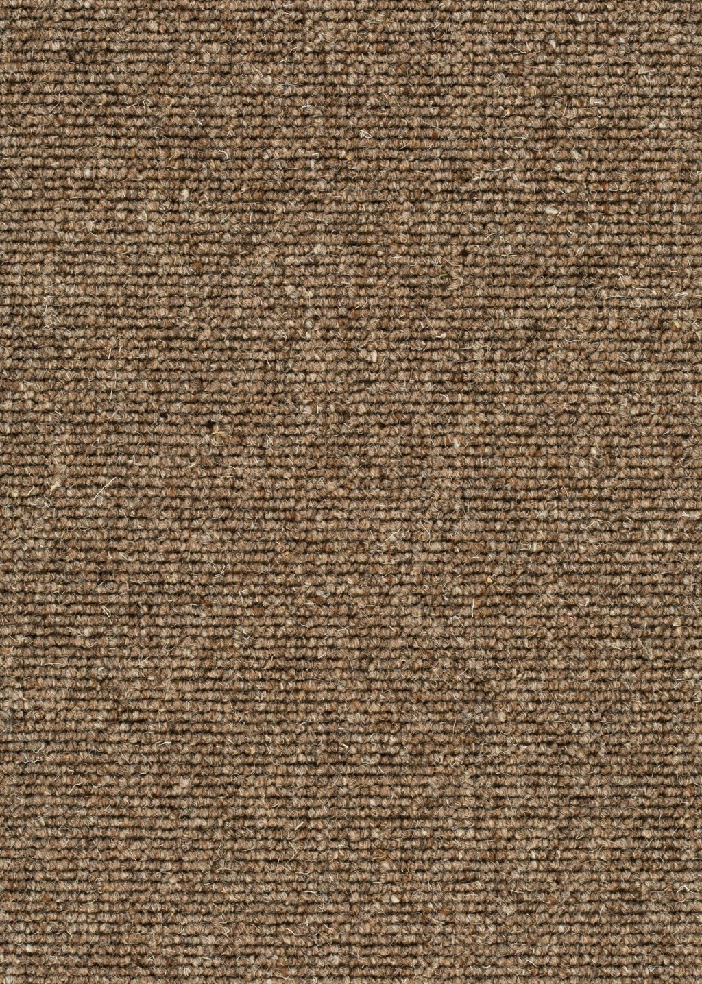 Wool 24 Tapijt POINT 400cm kleur 133 x 400,0