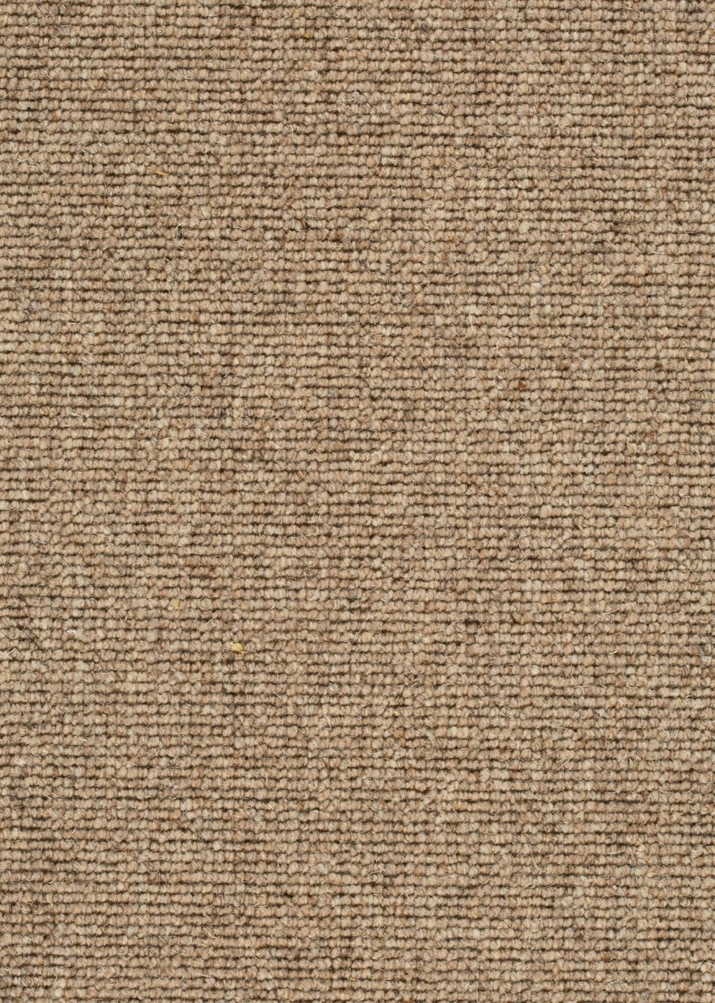 Wool 24 Tapijt POINT 400cm kleur 137 x 400,0