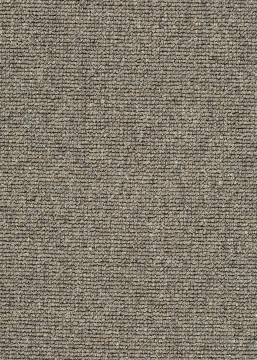 Wool 24 Tapijt POINT 500cm kleur 259 x 500,0