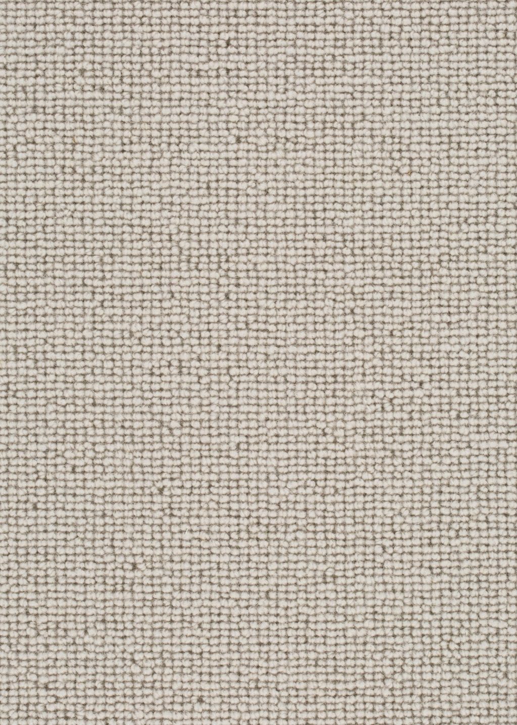 Wool 24 Tapijt ROCCO 400cm kleur 222 x 400,0