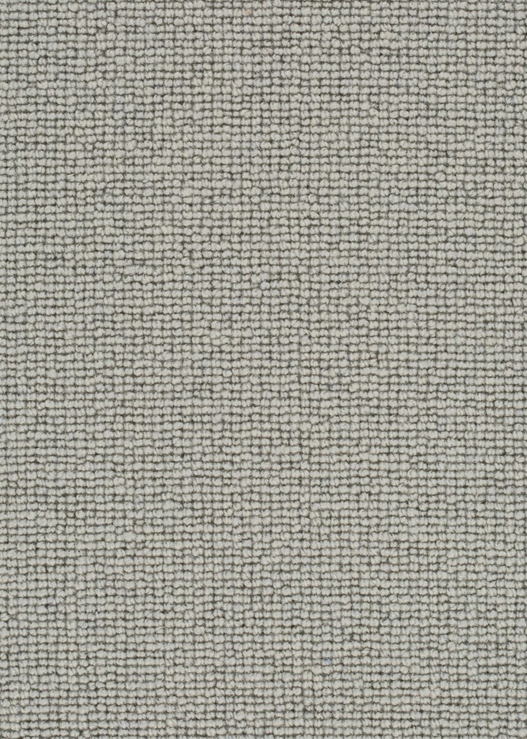 Wool 24 Tapijt ROCCO 400cm kleur 229 x 400,0