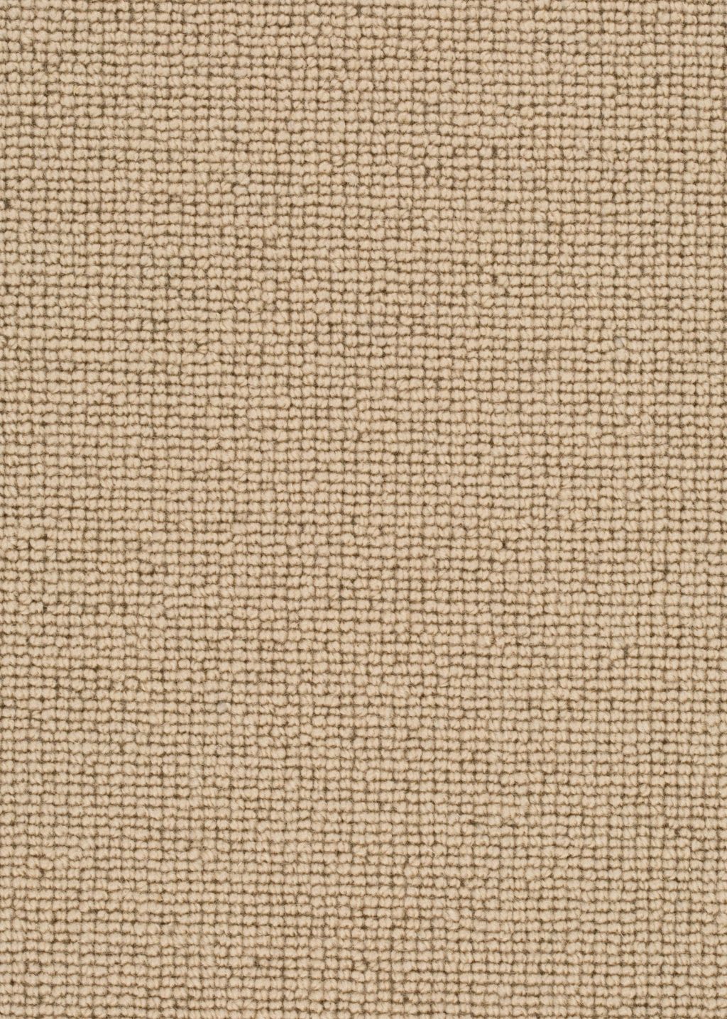 Wool 24 Tapijt ROCCO 500cm kleur 142 x 500,0