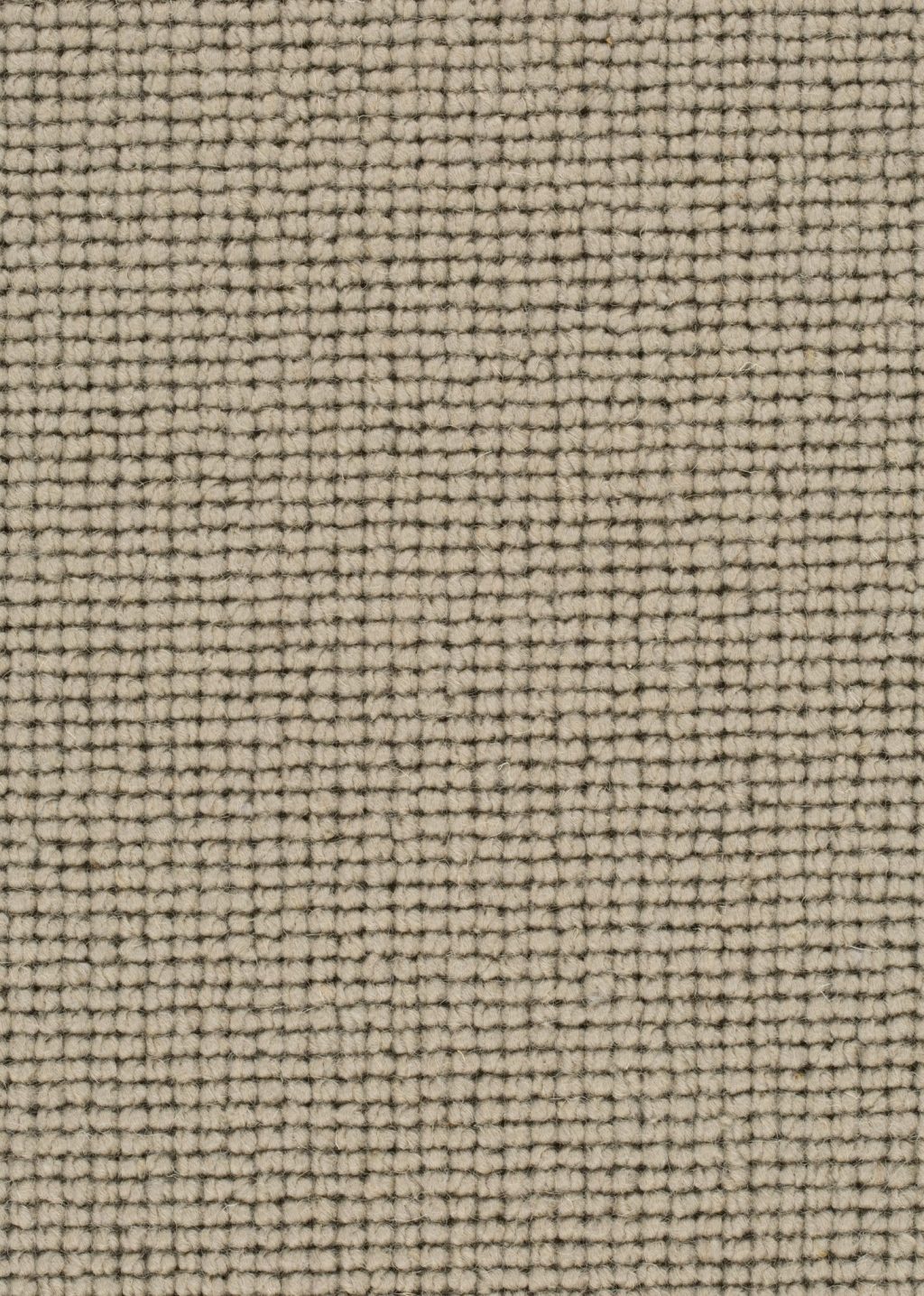 Wool 24 Tapijt SALI 400cm kleur 239 x 400,0