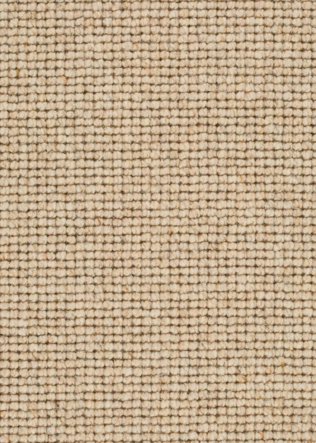 Wool 24 Tapijt SALI 500cm kleur 122 x 500,0