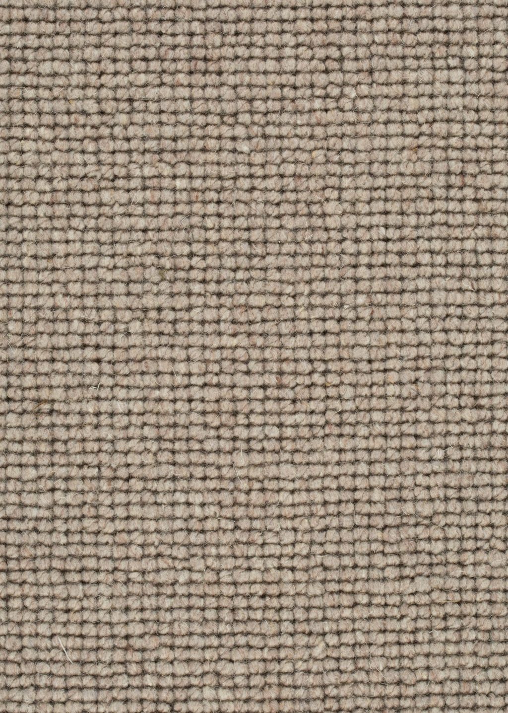 Wool 24 Tapijt SALI 500cm kleur 159 x 500,0