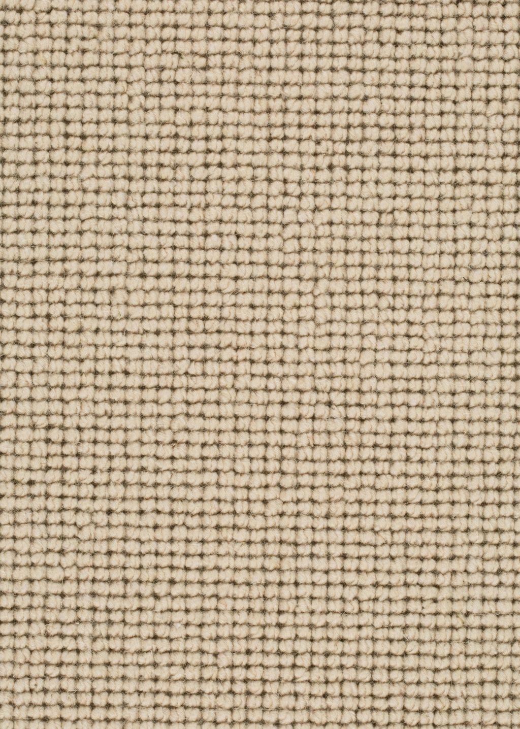 Wool 24 Tapijt SALI 500cm kleur 212 x 500,0