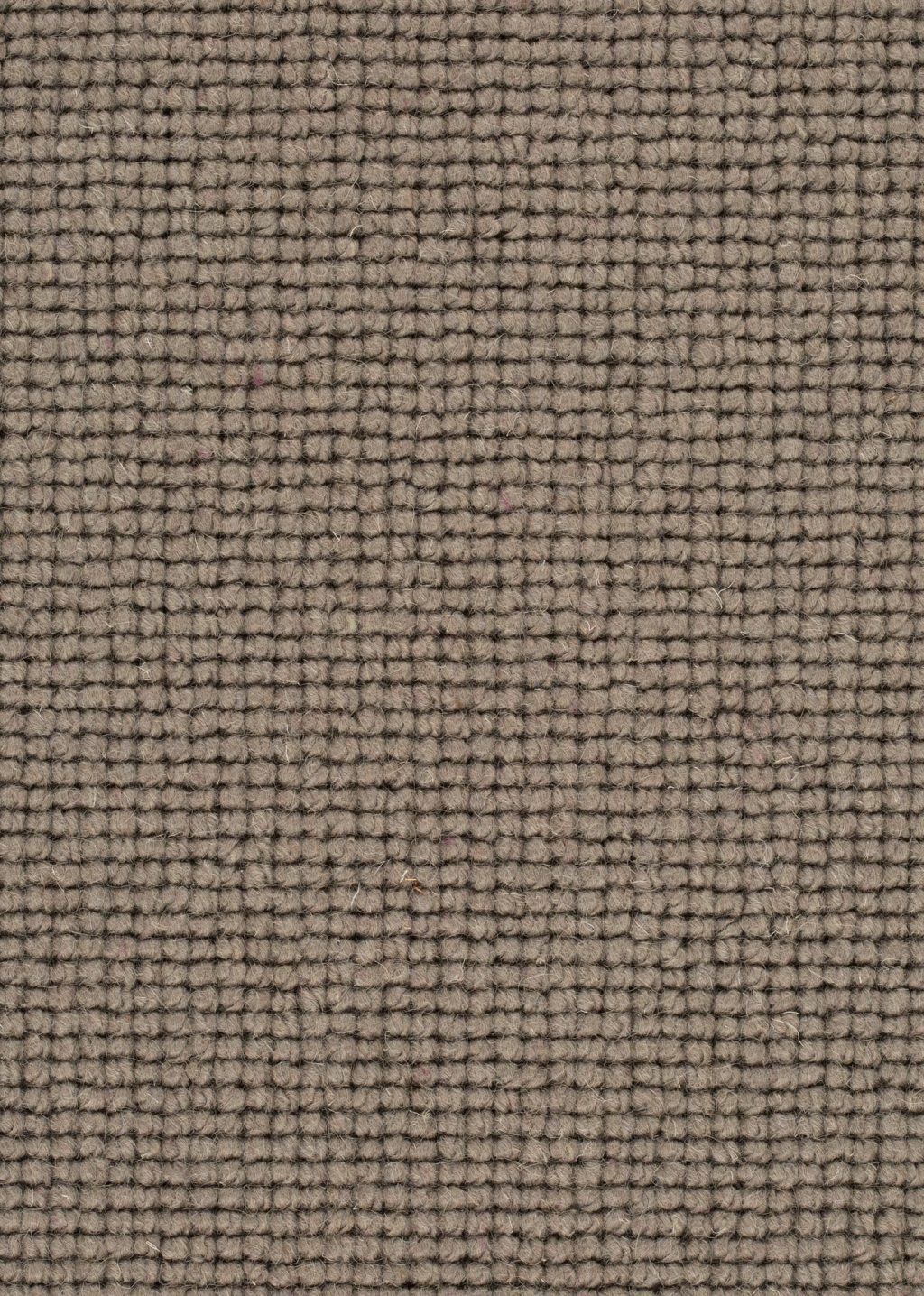 Wool 24 Tapijt SALI 500cm kleur 279 x 500,0