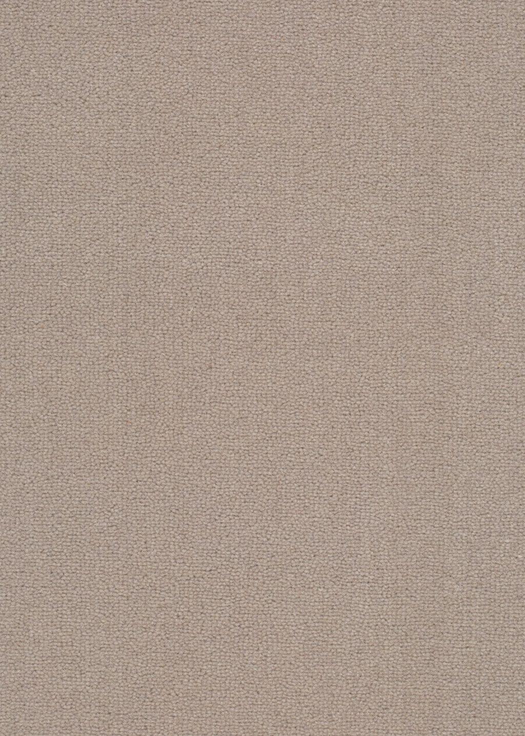 Wool 24 Tapijt Turin 400cm kleur 539 x 400,0