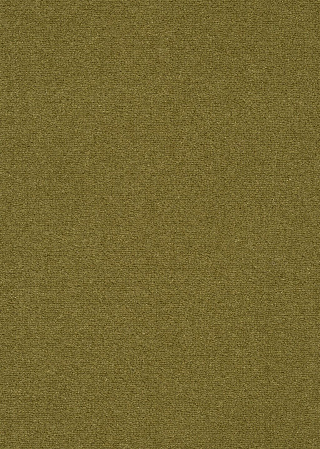 Wool 24 Tapijt Turin 400cm kleur 544 x 400,0