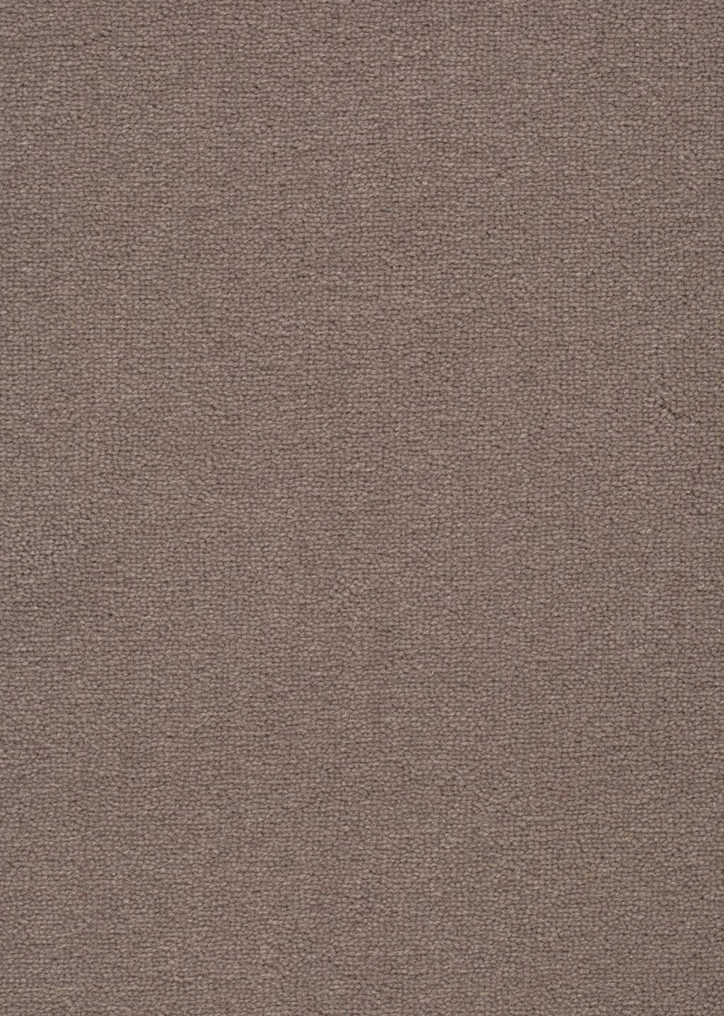 Wool 24 Tapijt Turin 400cm kleur 549 x 400,0